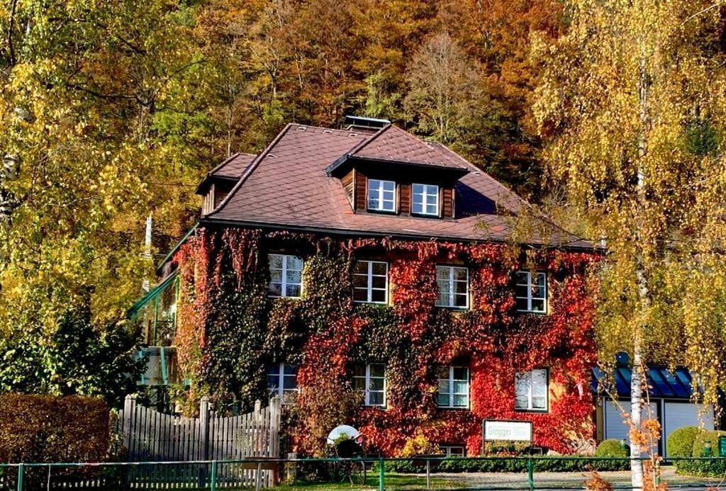 Gaestehaus Grogger Weyer Markt 외부 사진