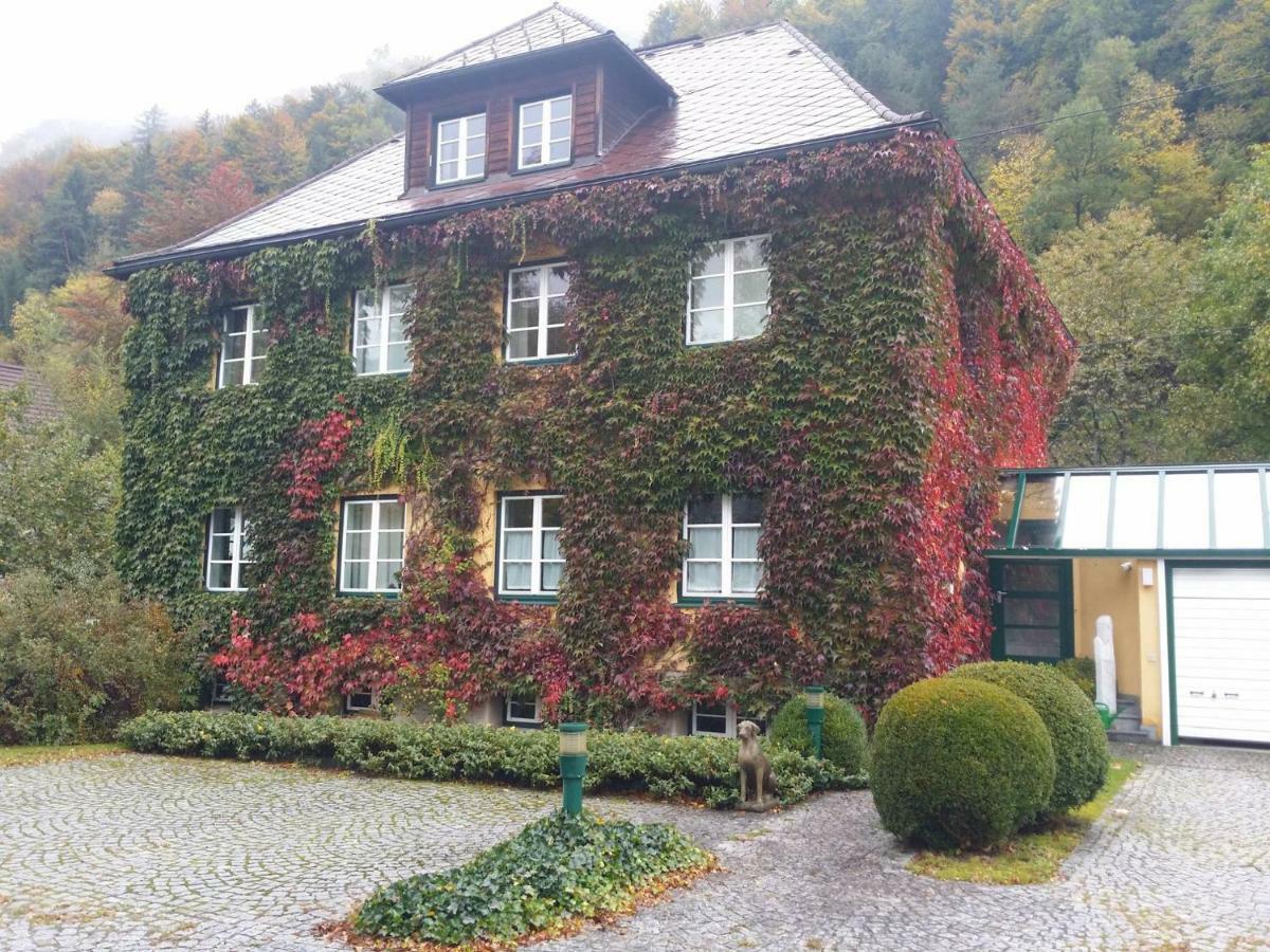 Gaestehaus Grogger Weyer Markt 외부 사진